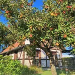 Kleiner Koenig Pensjonat Struppen-Siedlung