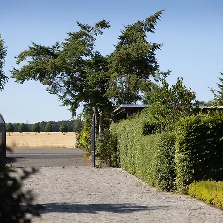 Kleiner König 3* Struppen-Siedlung