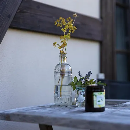 Kleiner Koenig Maison d'hôtes