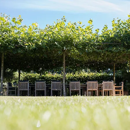 Kleiner Koenig Struppen-Siedlung