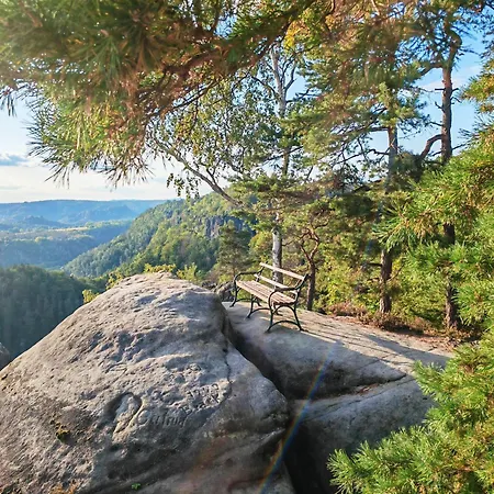Kleiner König