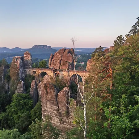 Kleiner König Struppen-Siedlung