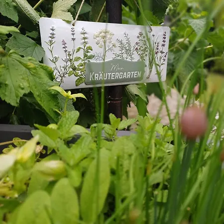 Kleiner Koenig Гостевой дом 3*