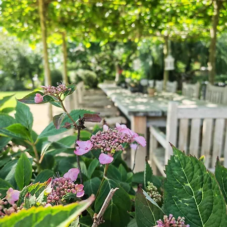 Kleiner Koenig Гостевой дом 3*