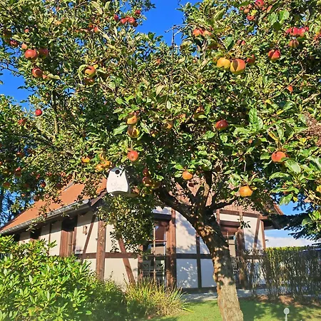 Kleiner Koenig Penzion Struppen-Siedlung