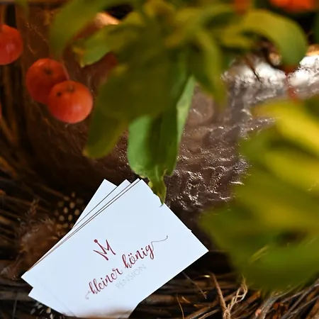 Kleiner Koenig Penzion Struppen-Siedlung