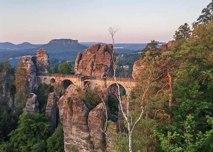 Kleiner Koenig Struppen-Siedlung